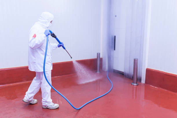 Reliable Leeds, AL  Pressure Washing Services Solutions
