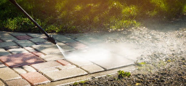 Best Animal Enclosure Cleaning  in Leeds, AL